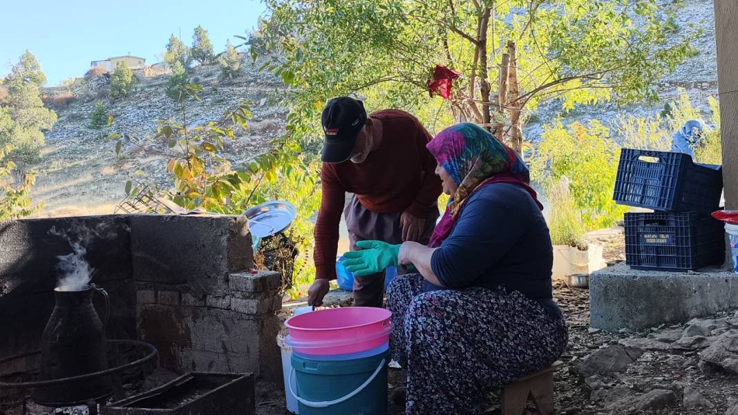 Toroslar'da tatlı ve şifalı telaş! Kuşburnu ve keçiboynuzu için ter döküyorlar 2